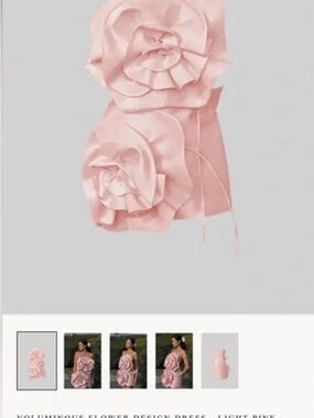 Sierra Darien voluminous flower design dress NWT